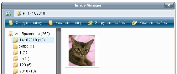 tinymce_imagemanager